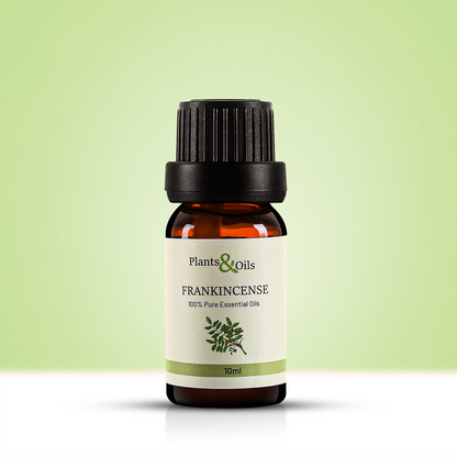 10ml amber glass bottle of Plants & Oils Frankincense Oil, 100% pure essential oil. Known as Indian frankincense or Boswellia Indian frankincense, this frankincense aromatherapy oil is used for pain relief and relaxation. Ideal for aromatherapy and wellness routines.
