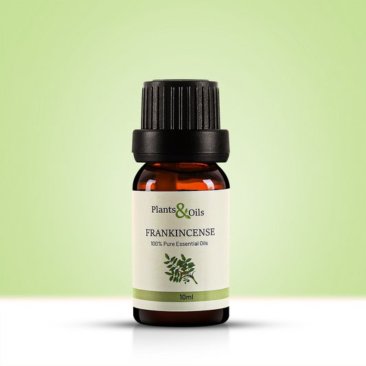10ml amber glass bottle of Plants & Oils Frankincense Oil, 100% pure essential oil. Known as Indian frankincense or Boswellia Indian frankincense, this frankincense aromatherapy oil is used for pain relief and relaxation. Ideal for aromatherapy and wellness routines.
