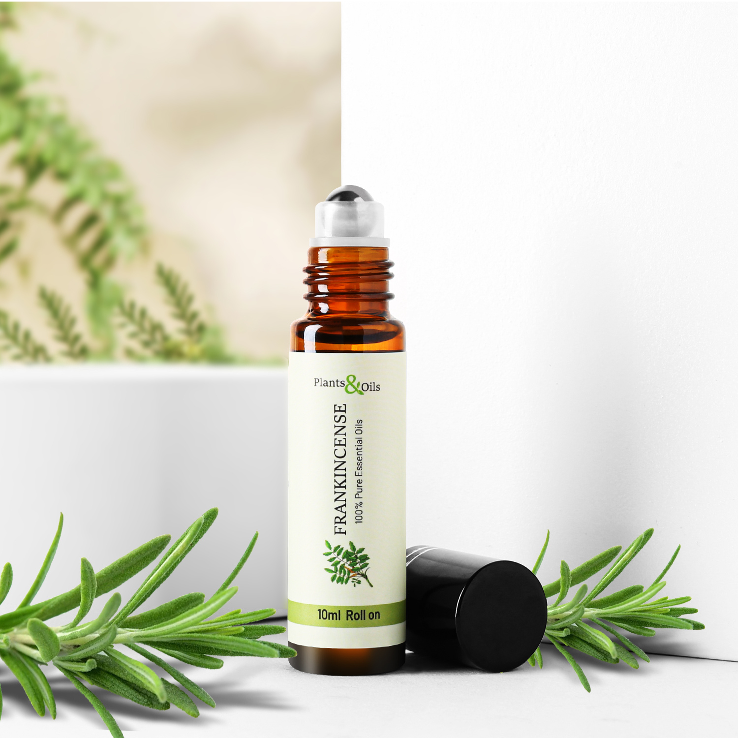 Frankincense Essential Oil, also known as Indian frankincense or Boswellia Indian frankincense. This frankincense aromatherapy oil is ideal for targeted application and pain relief. Surrounded by fresh rosemary sprigs, perfect for aromatherapy and natural wellness routines.
